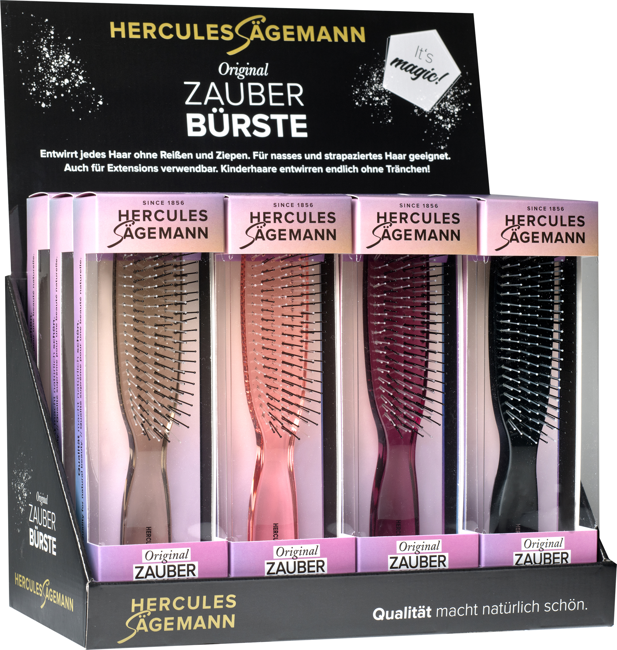 Hercules Sägemann Scalp Brush Display für Zauberbürsten unbestückt