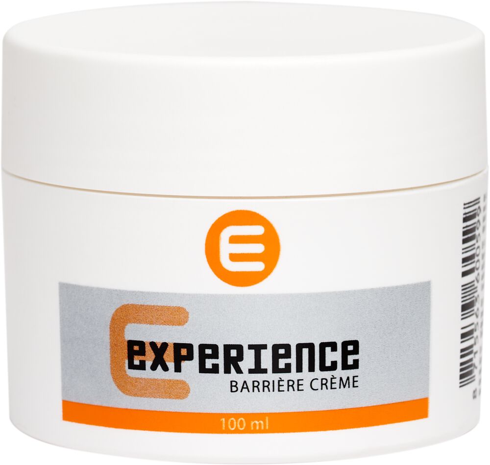 Artistique Experience Barrier Hautschutzcreme 100ml