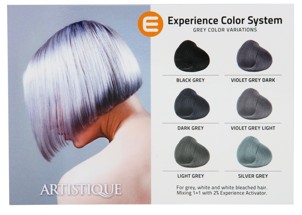 Experience Grey Haircolor 100ml