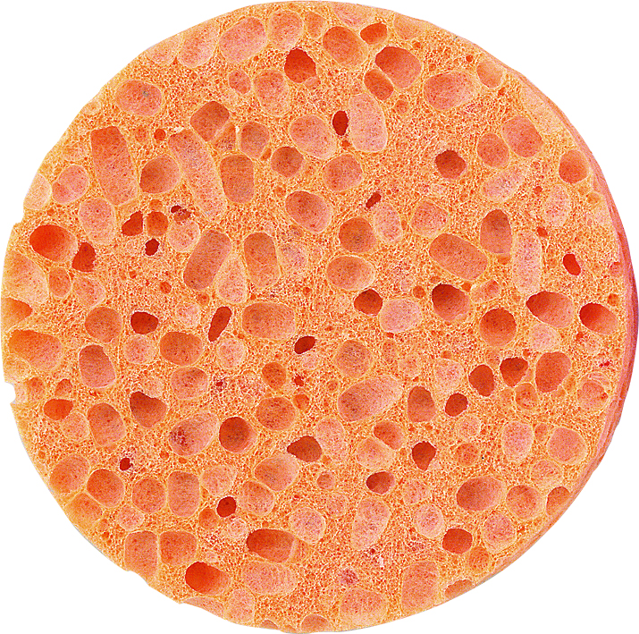 PS Natürlicher Körperschwamm PS Natürlicher Körperschwamm