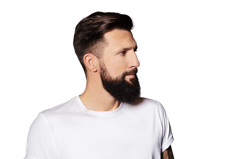 mann-mit-vollbart-und-kurzem-seitlich-rasierter-haarschnitt–blickt-nach-rechts–traegt-weisses-t-shirt–gut-gepflegter-und-stylischer-look mann-mit-vollbart-und-kurzem-seitlich-rasierter-haarschnitt–blickt-nach-rechts–traegt-weisses-t-shirt–gut-gepflegter-und-stylischer-look