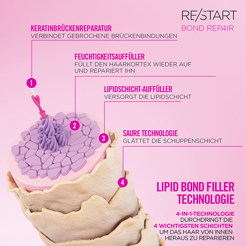 revlon-restart-bond-repair-lipid-bond-filler-technologie-grafik-mit-haarquerschnitt-und-erklaerung-der-reparatur-von-haarstruktur-und-schuppenschicht