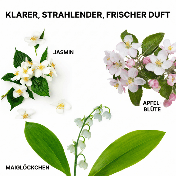 duftnoten-von-color-wow-insta-wow-advanced-trockenshampoo-mit-jasmin-apfelbluete-und-maigloeckchen