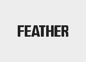 feather rasiermesser un klingen markenlogo