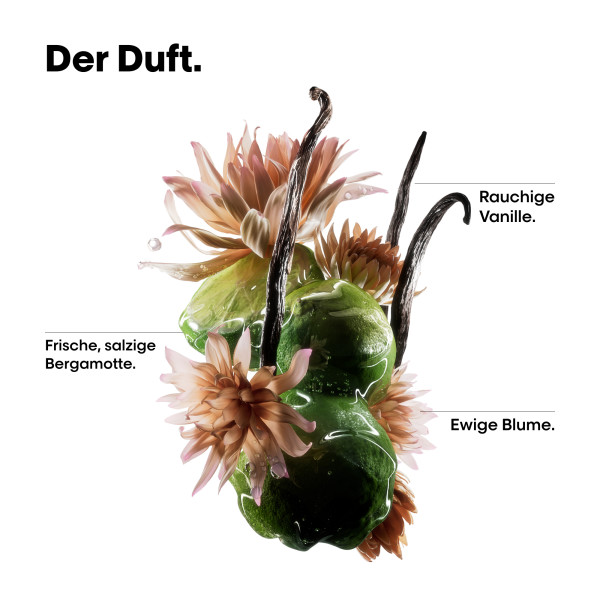 loreal-serie-expert-absolut-repair-molecular-oil-duftkomponenten-infografik-mit-bergamotte-vanille-und-ewiger-blume loreal-serie-expert-absolut-repair-molecular-oil-duftkomponenten-infografik-mit-bergamotte-vanille-und-ewiger-blume