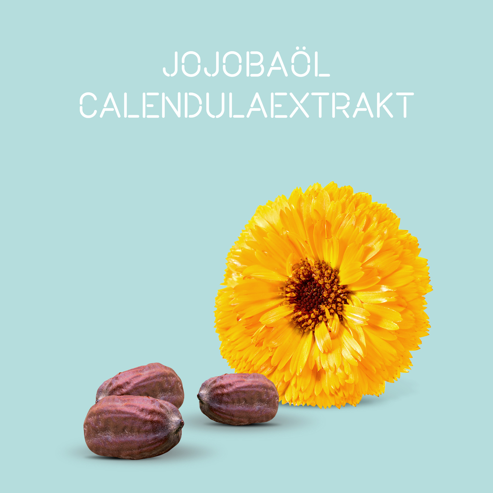 Londa-Care-Scalp-Dandruff-Control-Shampoo-250ml-Inhaltsstoffe-Jojobaoel-und-Calendulaextrakt-Ringelblume-Stopperka Londa-Care-Scalp-Dandruff-Control-Shampoo-250ml-Inhaltsstoffe-Jojobaoel-und-Calendulaextrakt-Ringelblume-Stopperka