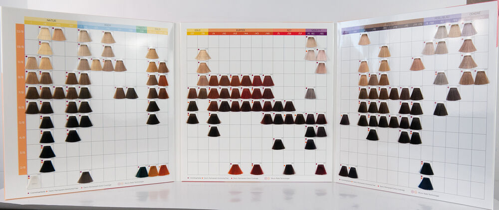 11600656-londa-color-chart-farbkarte-innenansicht-mit-haarfarben-und-farbtoenen 11600656-londa-color-chart-farbkarte-innenansicht-mit-haarfarben-und-farbtoenen