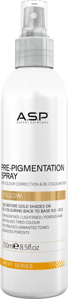 ASP Expert Pre-Pigmentation Spray 250 ml (Vorpigmentierung) ASP Expert Pre-Pigmentation Spray 250 ml (Vorpigmentierung)