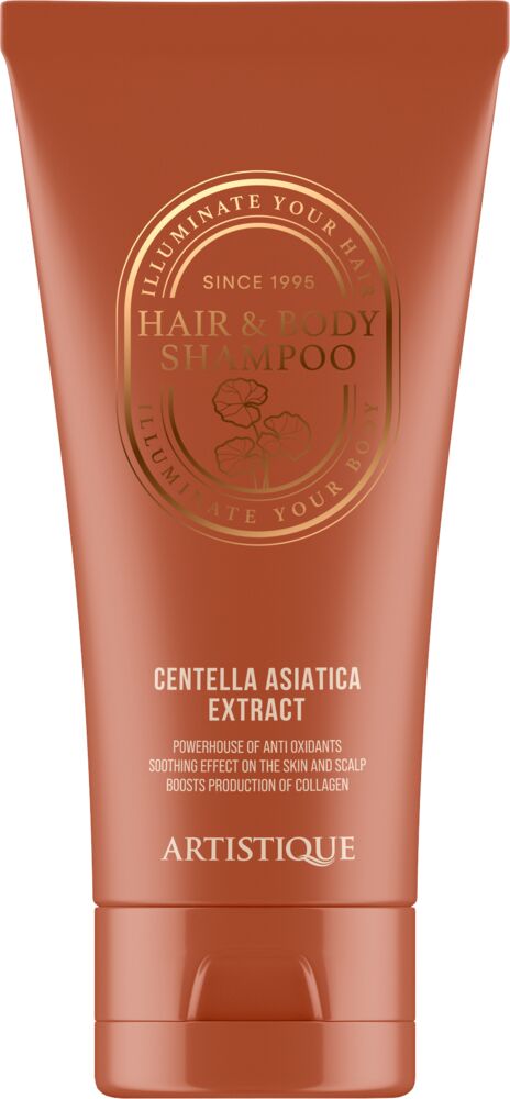 artistique_hair_and_body_shampoo_100_ml_champagner_farben_stopperka artistique_hair_and_body_shampoo_100_ml_champagner_farben_stopperka