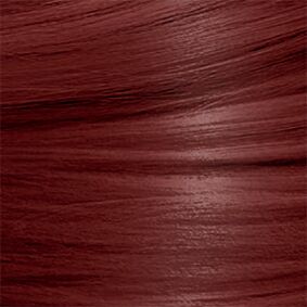 copper chestnut