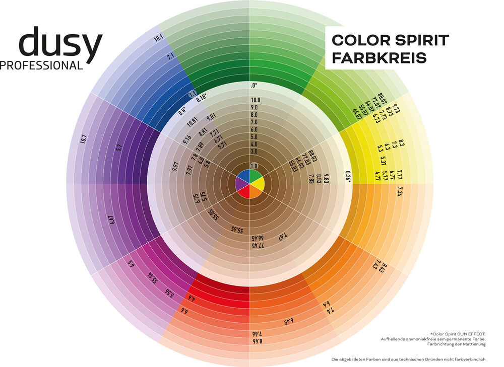 Dusy Color Spirit gedr. Farbkreis