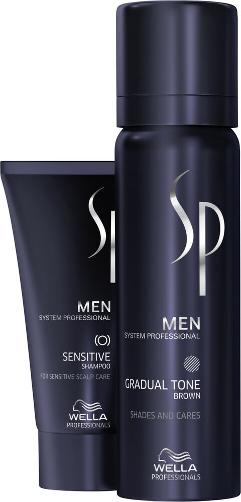 System Professional Men Gradual Tone zur Grauabdeckung