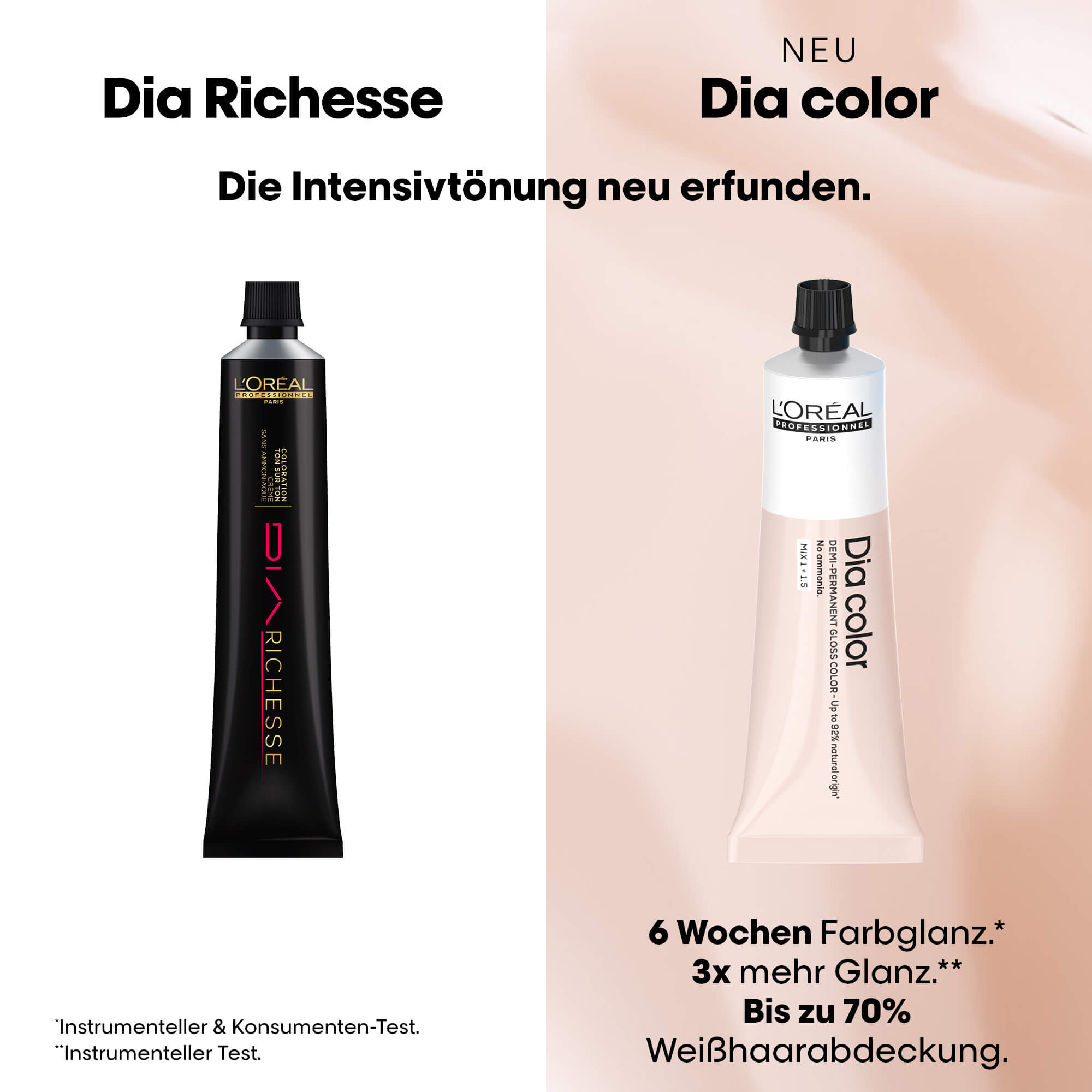 L'Oréal Dia Richesse wird zu Dia color