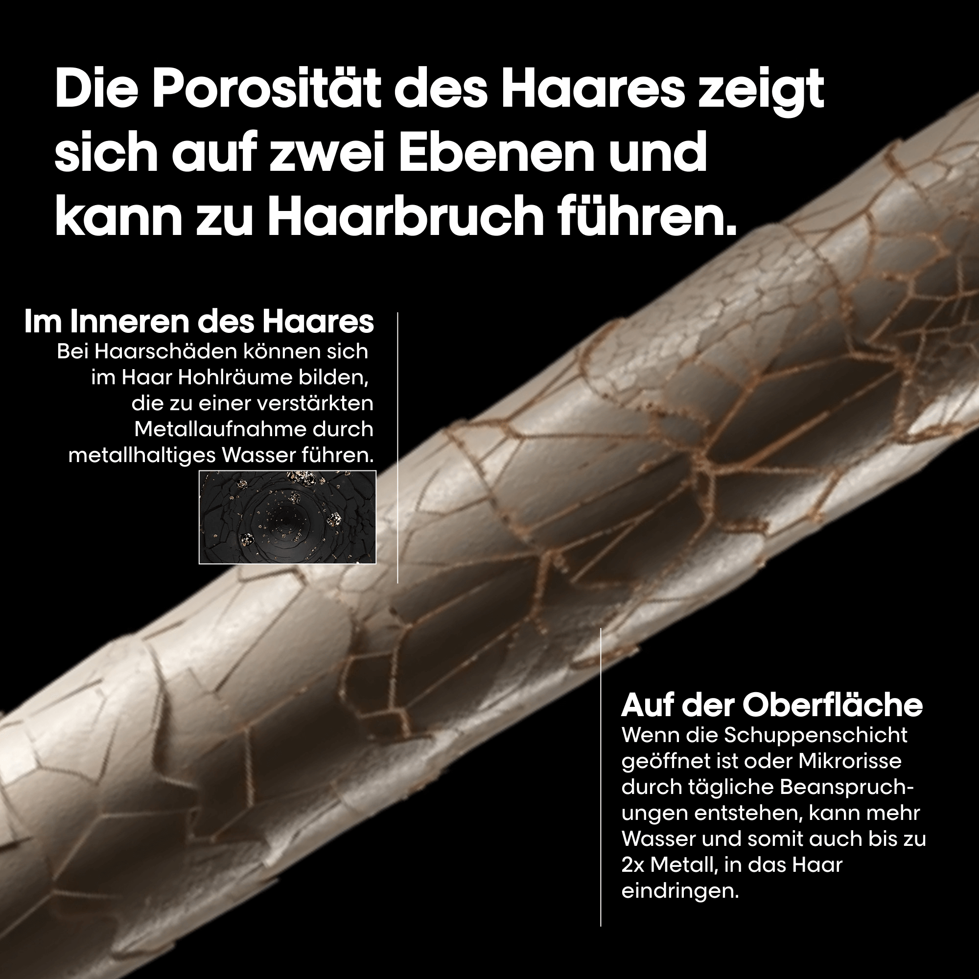 Loreal Serie Expert Metal DX Shampoo (gegen Metallablagerungen) Loreal Serie Expert Metal DX Shampoo (gegen Metallablagerungen)