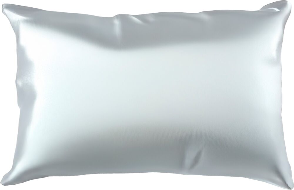 asp-satinkissenbezug-50-x-65cm-silber