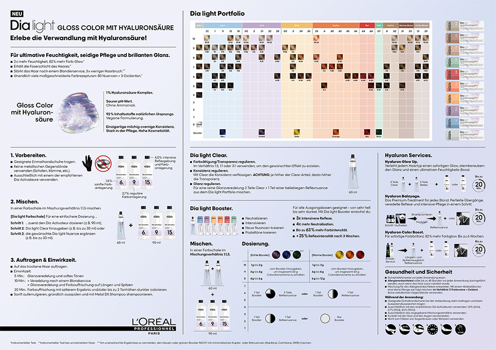 Loreal Dialight Anwendungsposter A3 Format