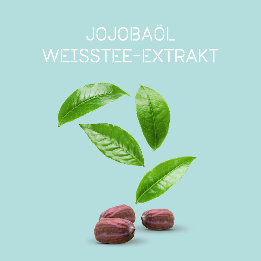 Londa-Purifying-Shampoo-250ml-Inhaltsstoffe-Jojobaoel-und-Weisstee-Extrakt-Stopeprka Londa-Purifying-Shampoo-250ml-Inhaltsstoffe-Jojobaoel-und-Weisstee-Extrakt-Stopeprka