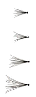 Everlash-Wimpern-Büschel-schwarz-Stopperka Everlash-Wimpern-Büschel-schwarz-Stopperka