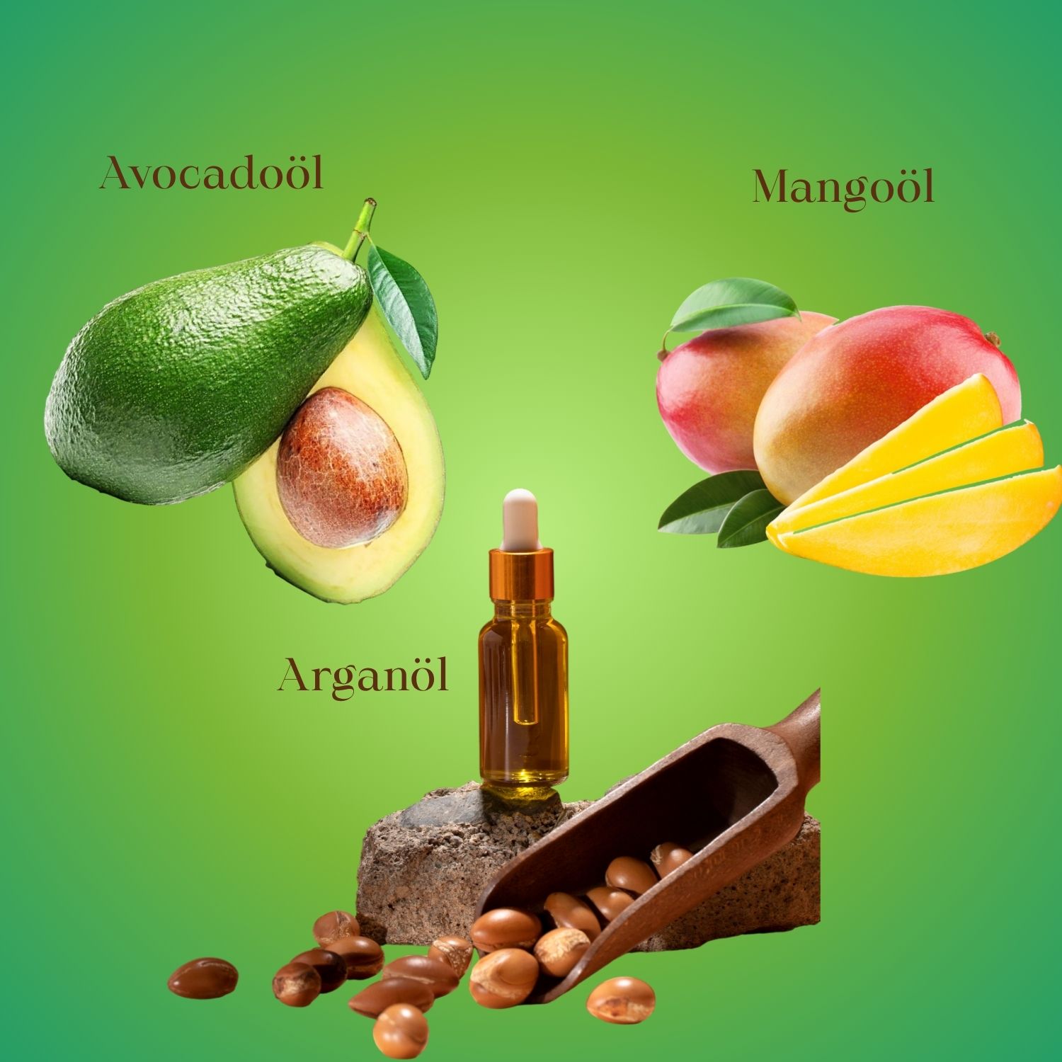 nook-imagebild-eine-flasche-befuellt-mit-oel-daneben-argan-verteilt-zwei-mangos-und-drei-geschnitten-mangoscheiben-avocado-geschnitten