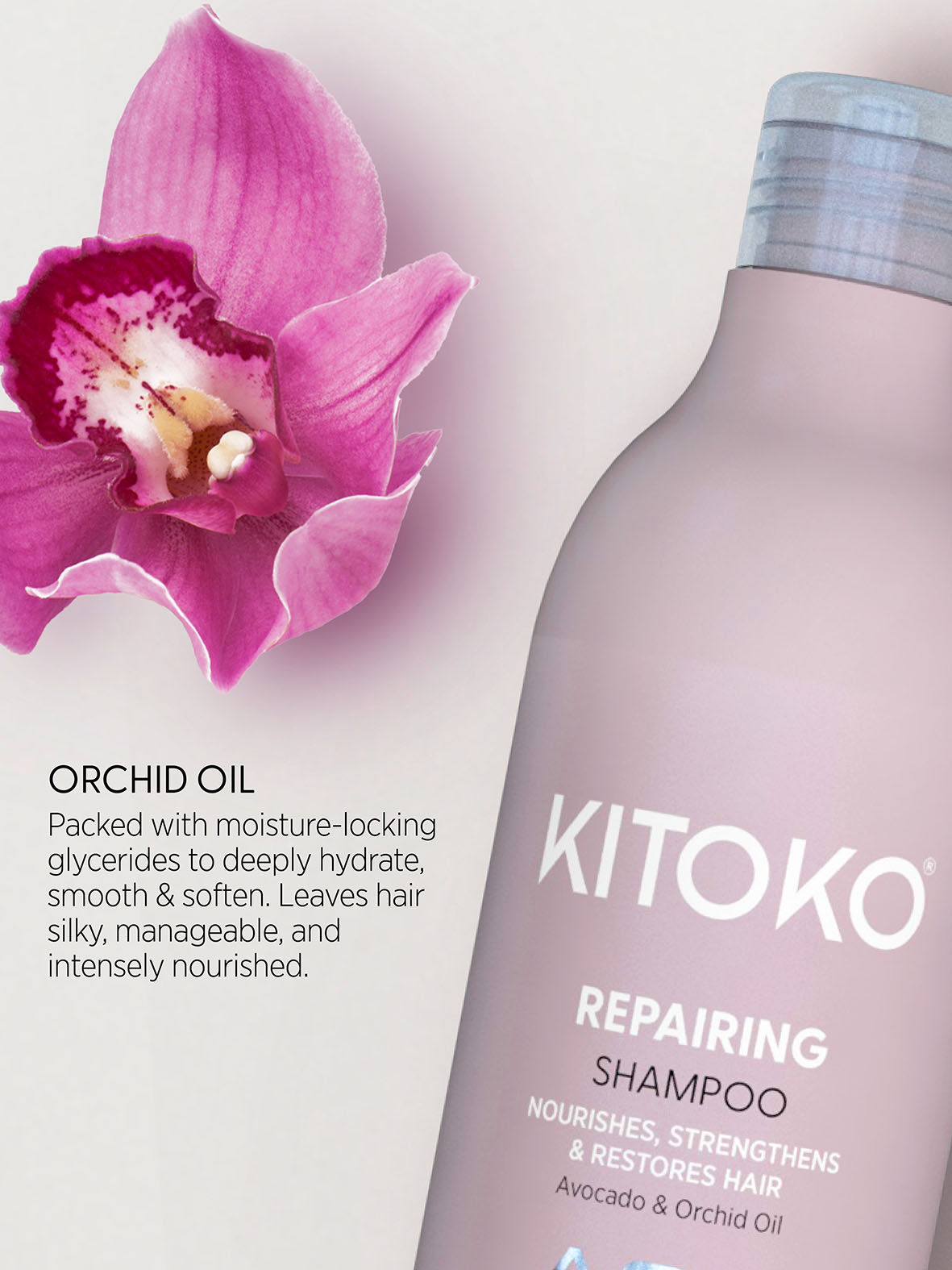 asp-repairing-rosa-orchideenbluete-neben-shampooflasche-mit-text-orchid-oil-und-beschreibung-zu-feuchtigkeit-und-pflege