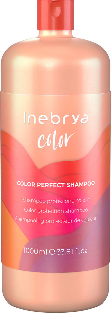 Inebrya Color Perfect Shampoo 