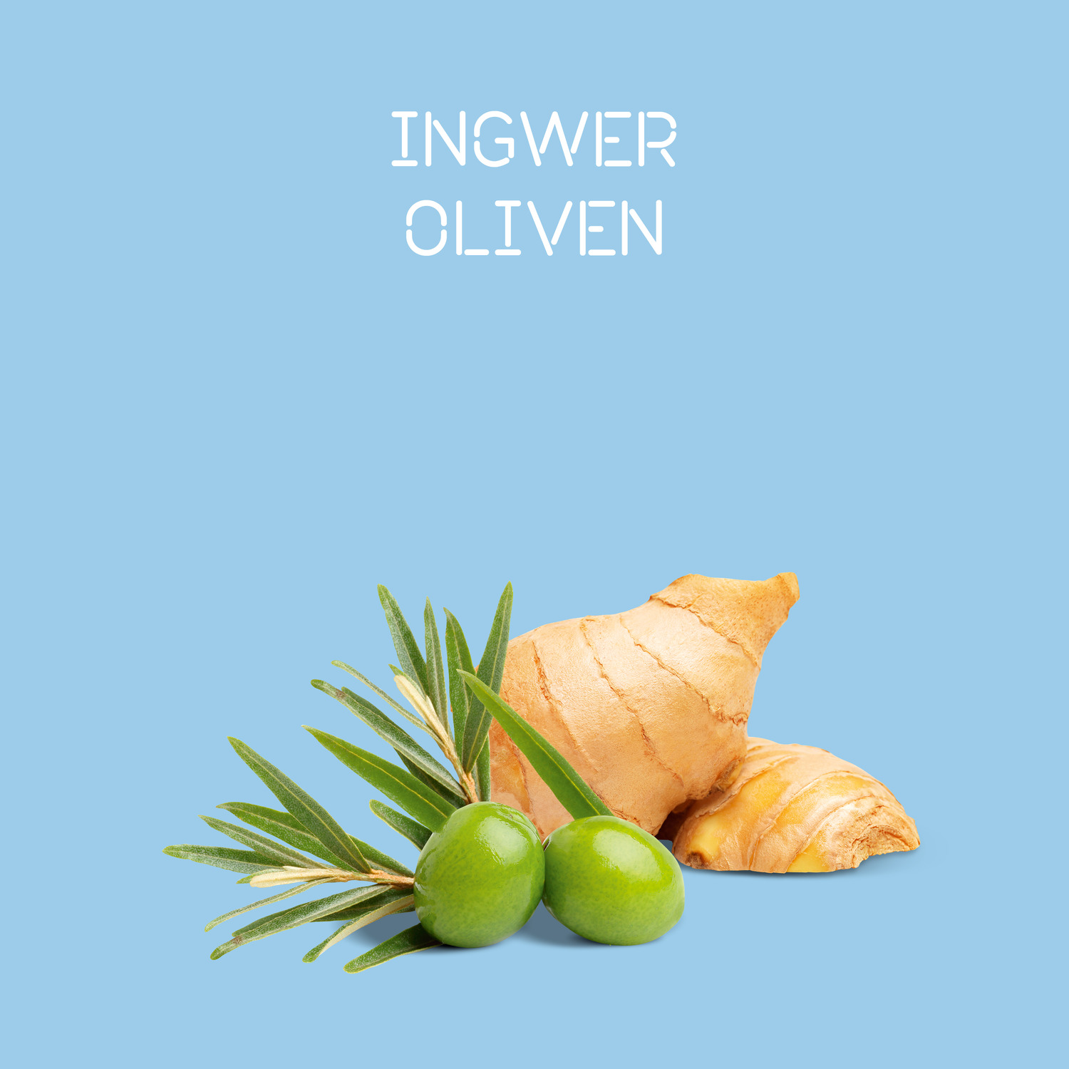 londa-curl-definer-natuerliche-inhaltsstoffe-ingwer-und-olive