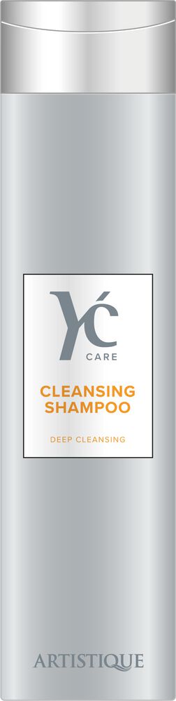 artistique cleansing shampoo tiefenreinigungsshampoo 250ml flasche